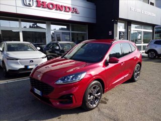 FORD Kuga 1.5 ecoblue ST-Line 2wd 120cv auto